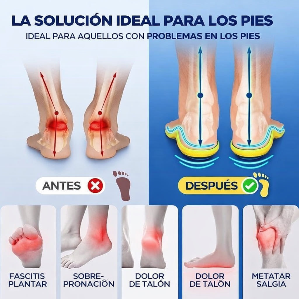 Plantillas Magnéticas Recortables Antifatiga Rodifuerte